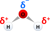 Ladungsverschiebung in Richtung Sauerstoff im H2O-Molekül führt zu einer negativen Partialladung am Sauerstoffatom